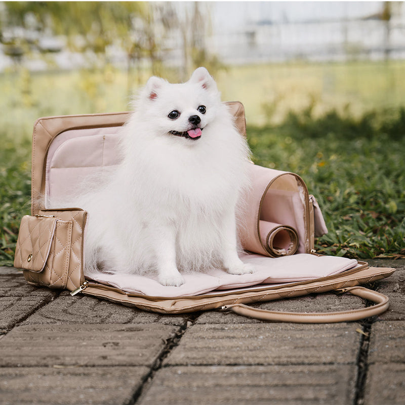 Human-Dog Shared Travel Pet Bag - Large Carrying Stylish Multi-Functional